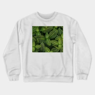 beauty of nature Crewneck Sweatshirt
